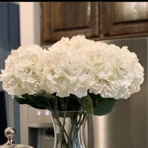 Meet your Posher, Ross